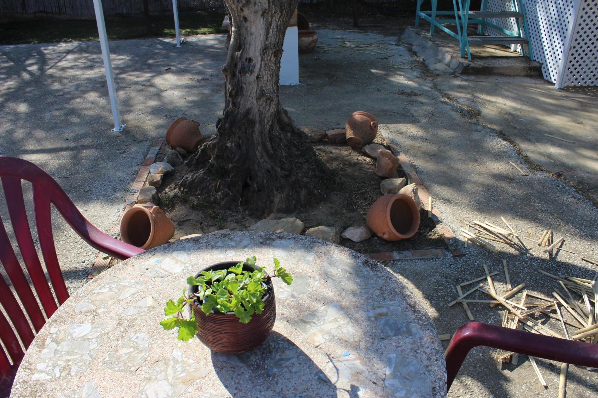 Casa De Campo En โคอิน ภายนอก รูปภาพ